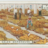Tobacco sales warehouse.
