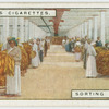 Sorting tobacco.