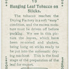 Hanging leaf tobacco on sticks.