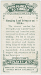 Hanging leaf tobacco on sticks.