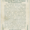 Uncasing prized tobacco for examination.