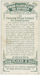 Uncasing prized tobacco for examination.