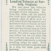 Loading tobacco at Norfolk, Virginia.