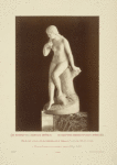 Nude woman sitting on tree trunk