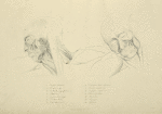 Two views of musculature of the face