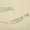 Two views of musculature of the arm
