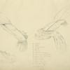 Three views of the musculature of the arm