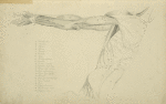 View of right arm and side of torso