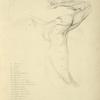 View of right arm and side of torso from the back