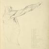 View of right arm and side of torso from the side