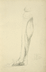 View of musculature of the leg