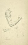 Four views of musculature and bones of bent arm