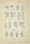 Several views of bones of pelvis, knee, and foot