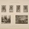 Mascaron du buffet; dragon du bassin du plafond. - Face et profil.