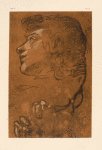 Drawing of head in profile