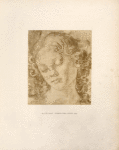 Verrocchio, Uffizi, 2690. [Head of a youth.]