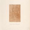 Amico di Sandro, Berlin, 44. [Head of a youth.]