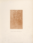 Amico di Sandro, Berlin, 44. [Head of a youth.]