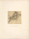 Filippino Lippi, Uffizi, 1315. [Study of woman with horse's head.]