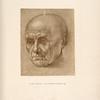 P. di Cosimo, Louvre, 1860. [Head of a man.]