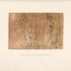 Fra Bartolommeo, Uffizi, 239. [Two studies for a charity.]