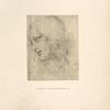 Leonardo, Windor, 1141. [Study for the head of Philip in the last supper.]