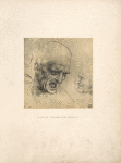 Leonardo, Buda Pesth [sic], 1011. [A bald-headed man with open mouth turning suddenly to the right, and facing him the lower part of the profile of another man.]