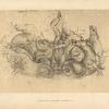 Leonardo, Windsor, 1117. [Neptune guiding his sea-horses.]