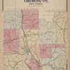 Plan of Chemung Co., New York