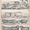 Stock Farm and Residence of L.N. Close, Township of Leoyard, Cayuga Co. N.Y. 