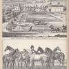 Farm & Residence of J. Fitch ESQ., Aurelius Township, Cayuga Co., N.Y.; Group of Fine Horses Belonging to J. Fitch, ESQ., Aurelius, Cayuga Co., N.Y. 