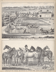 Farm & Residence of J. Fitch ESQ., Aurelius Township, Cayuga Co., N.Y.; Group of Fine Horses Belonging to J. Fitch, ESQ., Aurelius, Cayuga Co., N.Y. 