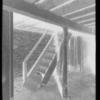 Stairway in basement