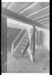 Stairway in basement