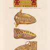 Ceintures de chaussures dites de Charlemagne.