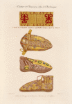 Ceintures de chaussures dites de Charlemagne.