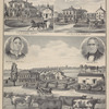 Res. of Enoch Health, Pavilion, Genesee Co., N.Y. ; Farm - Res. of W. G. Parmelee, Le Roy TP. Genesee Co., N.Y. ; Mrs. Cathrine Hope Peck. ; Richard Peck. ; Res. of B. F. Peck, East Bethany, Genesee Co., N.Y.