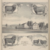 Young Gold Drop. ; Prize Ram Addison. ; Young Addison. ; Residence of S. B. Lusk, Breeder of pure Spanish or American Merino Sheep. Batavia, Genesee Co., N.Y. ; The Twins.