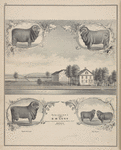 Young Gold Drop. ; Prize Ram Addison. ; Young Addison. ; Residence of S. B. Lusk, Breeder of pure Spanish or American Merino Sheep. Batavia, Genesee Co., N.Y. ; The Twins.