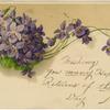 Purple flowers]