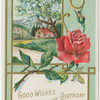 Good wishes for a happy birthday.