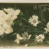 A happy birthday.