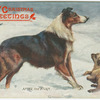 Christmas greetings