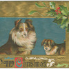 A happy Christmas.