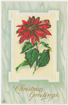 Christmas greetings.