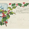 A merry Christmas and a happy New Year.