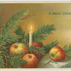 A Merry Christmas.