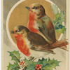 Merry Xmas.