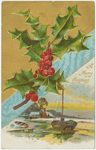 A Merry Christmas.