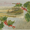 A merry Christmas.